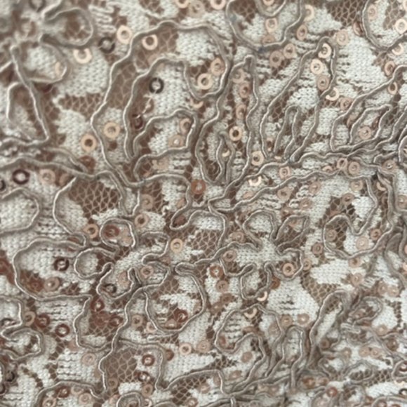 Gorgeous Alex Evening Dress Size 8 NWT - Picture 5 of 12